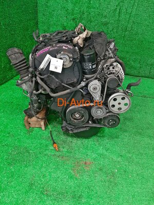   Audi   AUDI A5 8T3 CDN (,  1)