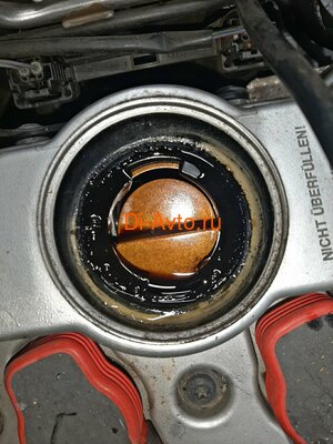   Audi   AUDI A4 8E ALT (,  6)