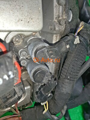   Audi   AUDI A6 4G2 CHV (,  8)