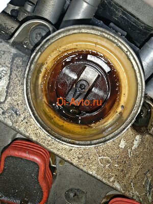   Audi   AUDI A6 4F5 BDX (,  6)