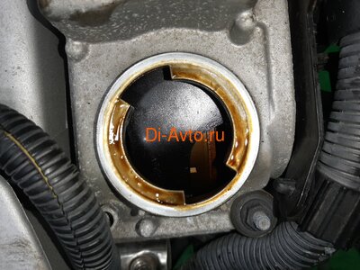   Audi   AUDI A3 8P BMJ (,  6)
